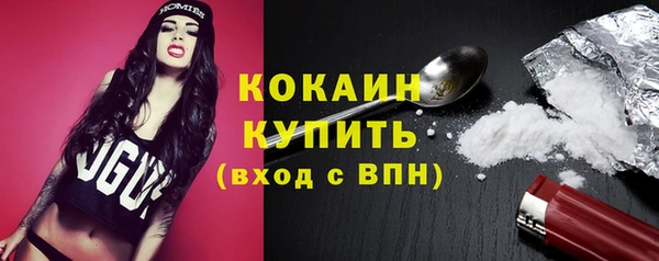 прущий лед Бородино