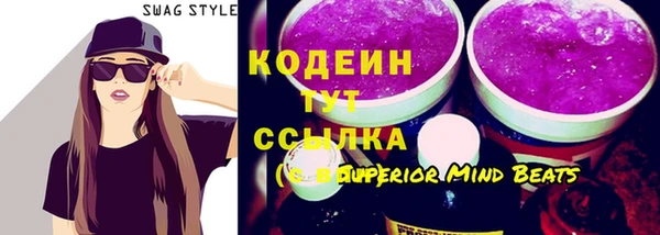 прущий лед Бородино
