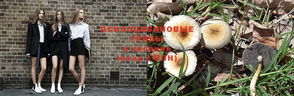 прущий лед Бородино