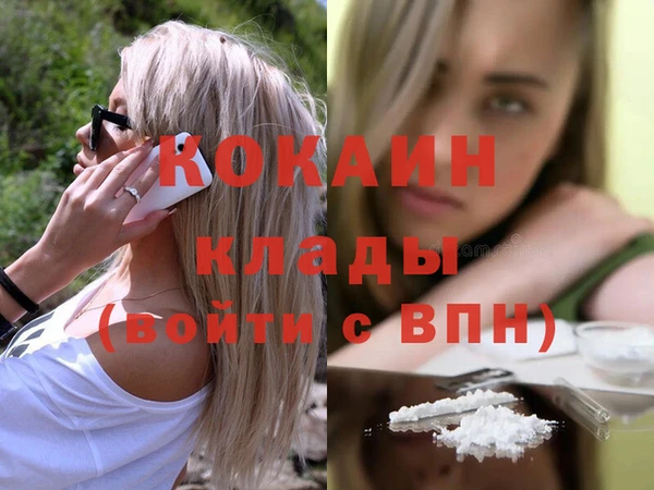 прущий лед Бородино