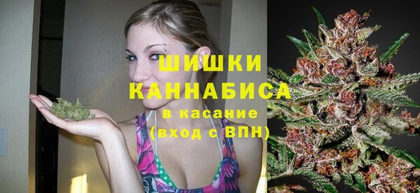 прущий лед Бородино