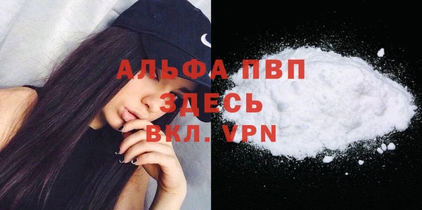 прущий лед Бородино