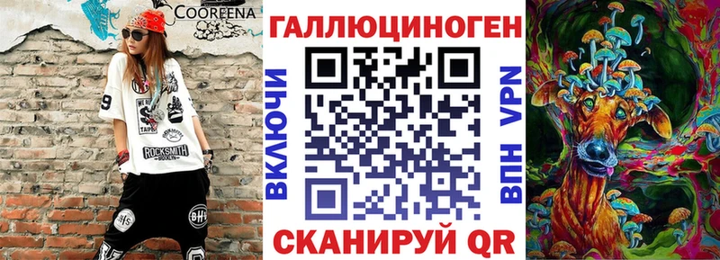 Купить где  Куса  Галлюциногенные грибы прущие грибы 